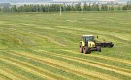 В Молдове выросло производство сельхозпродукции