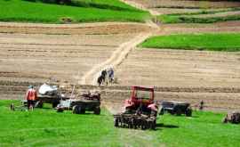 Fermierii din Dubăsari pot săşi lucreze terenurile aflate după drumul RâbniţaTiraspol 