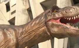 В Кишиневе откроется необычная выставка динозавров
