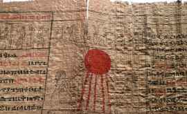 Detalii interesante despre practicile medicale antice se conțin întrun papirus tradus recent