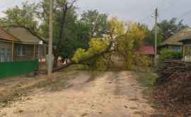 Un uragan a făcut ravagii în sudul Moldovei FOTO