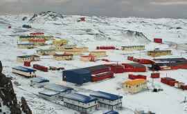 Почему работникам в Антарктиде удаляют зуб мудрости и аппендикс