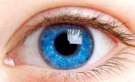 Глаза и мозг человека способны производить призрачные изображения