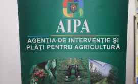 AIPA a lansat a doua etapă de primire a cererilor de subvenții în avans