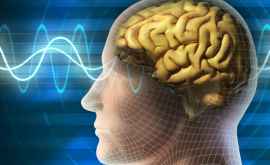 Учёные узнали как мозг меняет языковую раскладку