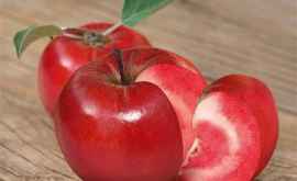 În Moldova a fost creat primul soi de măr cu miezul roșu FOTO