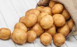 Producția de cartofi a scăzut semnificativ