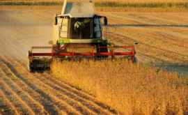Subvențiile pentru agricultori vor fi majorate