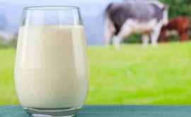 Два стакана молока в день помогут похудеть