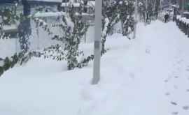 În Canada a nins ca în plină iarnă stratul de zăpadă a ajuns la 40 cm VIDEO