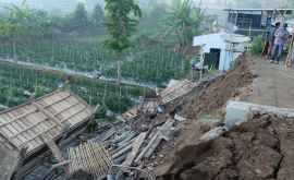 Человек найден живым спустя неделю после землетрясения в Индонезии