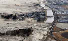 На Австралию может обрушиться разрушительное цунами
