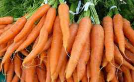 De ce este recomandat consumul de morcovi