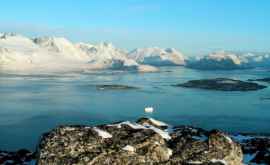 В Гренландии обнаружены следы иноземного вторжения