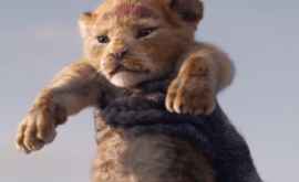 Trailerul filmului Regele leu a fost lansat VIDEO