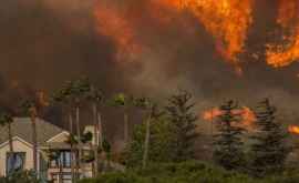 Теории заговора вокруг причины пожаров в Калифорнии
