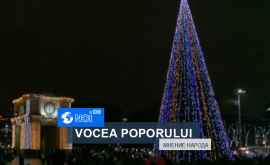 Ce părere au moldovenii despre bradul instalat în inima capitalei VIDEO
