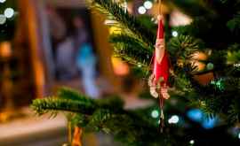 La Ciocana a fost împodobit Pomul de Crăciun luat de la locuitorii din sectorul Rîşcani VIDEO