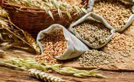 Transnistria a impus taxe de export pentru semințele oleaginoase și cereale