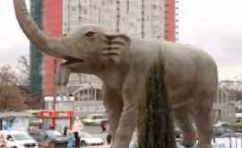 Un elefant gigant a apărut în faţa Circului din capitală