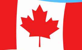 Declarație În Canada va fi o singură secție de votare nu trei așa cum anunțase CEC