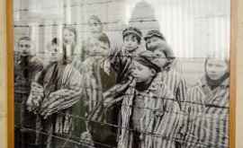Сколько узников гетто проживает в Молдове