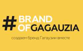 Стартовал конкурс по созданию территориального бренда Гагаузии