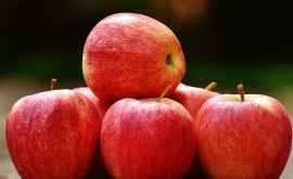 Agricultoare din Moldova Cumpărați mere în loc de flori VIDEO