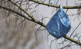 Roada primăverii în Moldova Oamenii culeg pungile de plastic