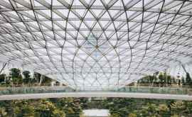 Aeroportul din Singapore sa transformat întro grădină de Rai VIDEO