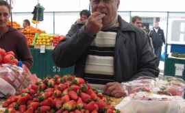 Piaţa moldovenească plină de căpşuni greceşti La ce preţ sînt acestea