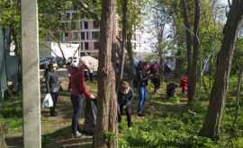 Кишиневцы приняли активное участие в генеральной уборке