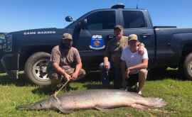 Un bărbat a prins cel mai vechi pește de 77 de kilograme