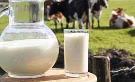 Cît lapte din Moldova este produs la întreprinderile agricole specializate