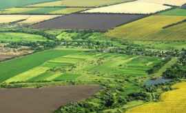 Как будет устанавливаться цена аренды сельскохозяйственных земель