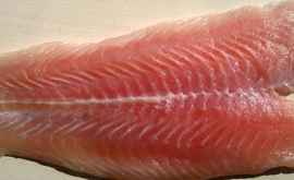 Pește periculos se vinde în țara vecină zeci de tone au fost confiscate