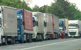 Patru camioane cu cartofi din Belarus infectați cu bacterii întoarse din vamă