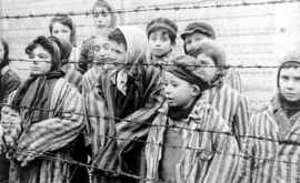 Opinie Disciplina Holocaustul istorie și lecții de viață ar trebui inclusă în programul general