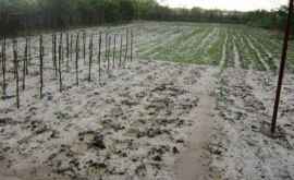 Кабмин выделит 3 млн евро на ликвидацию последствий проливных дождей