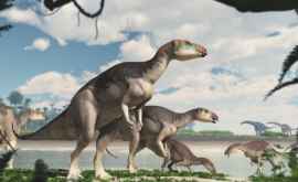 În Australia a fost descoperită prima turmă de dinozauri