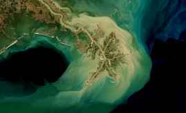 În Golful Mexic vara se formează o zonă uriașă fără oxigen de dimensiunea Bahamelor