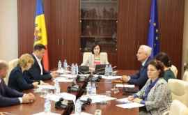 UPDATE Все больше молдаван диаспоры поддерживают правительство Санду
