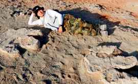 Следы динозавра возрастом в 100 миллионов лет обнаружили в Китае