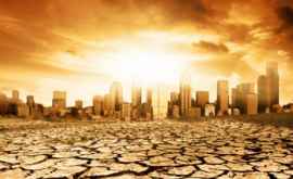 Temperaturi extreme vor fi observate pînă la sfîrșitul secolului pe 58 din suprafața Pămîntului