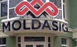 Процесс приватизации Moldasig был остановлен