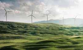 Independente de hidrocarburi 10 țări care au trecut deja la energia verde
