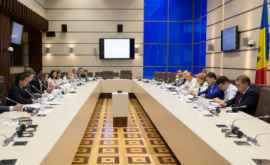В Молдове может быть создан Совет доноров