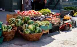 Где в Молдове можно купить арбузы без нитратов и пестицидов