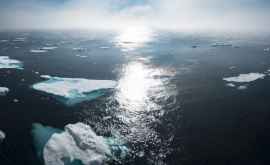 Timp de o zi Groenlanda a pierdut 125 miliarde de tone de gheață Acesta este un nou record