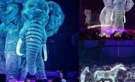 В немецком цирке живых животных заменили 3Dизображениями ВИДЕО